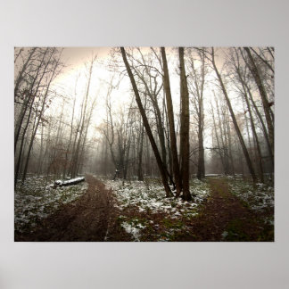 Póster desaricación