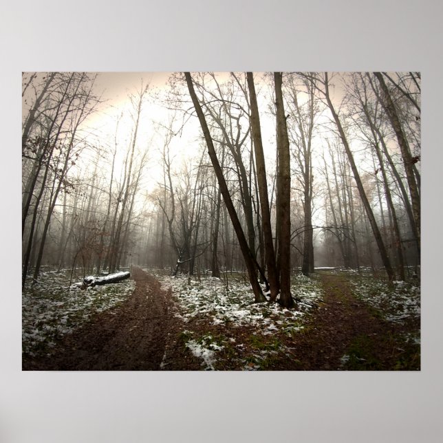 Póster desaricación (Frente)