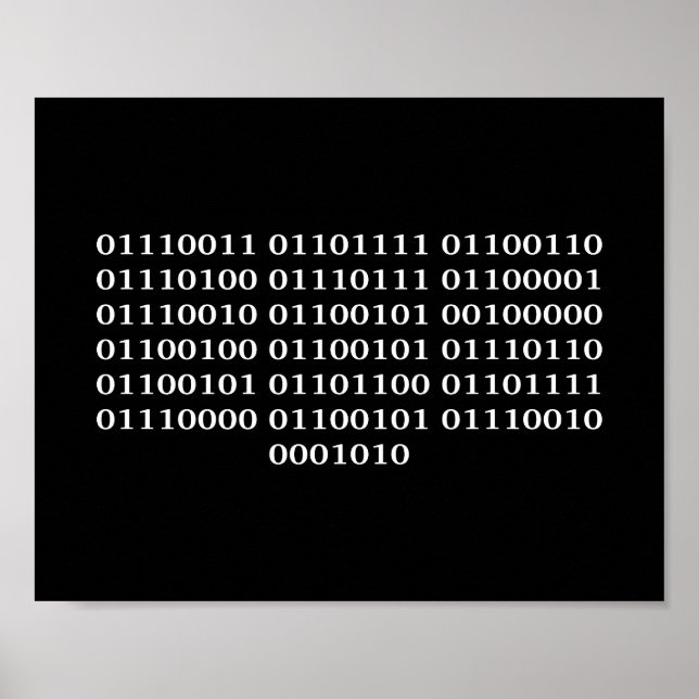 Póster Desarrollador de software (Frente)