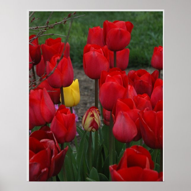 Póster Descanso (Frente)