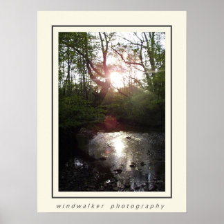 Póster Descanso pacífico