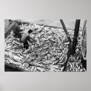 Póster Descargando Salmón de las naves de pesca Fotografí