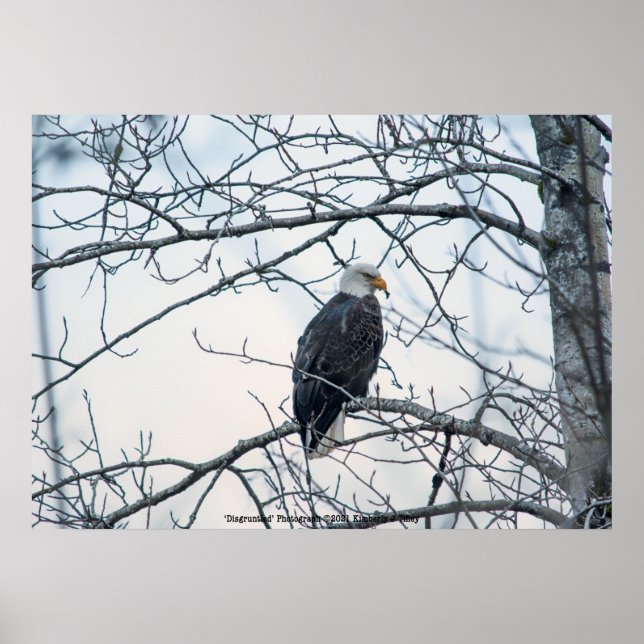 Póster Descontento (Frente)