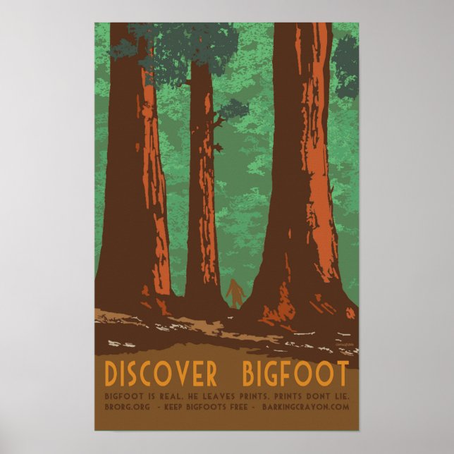 Póster Descubra el pie de playa en Redwood Forrest (Frente)