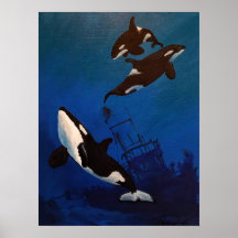 "Descubrimiento" Orca y restos