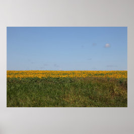 Póster Desenfoque floral