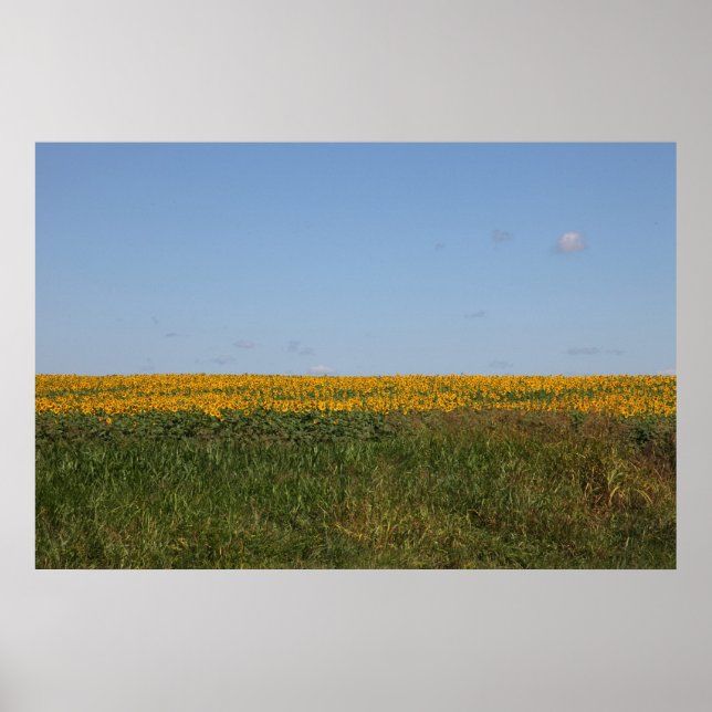 Póster Desenfoque floral (Frente)