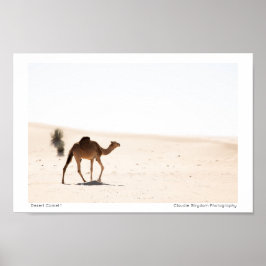 Póster Desert Camel 1