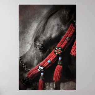 Póster Desert Jewel