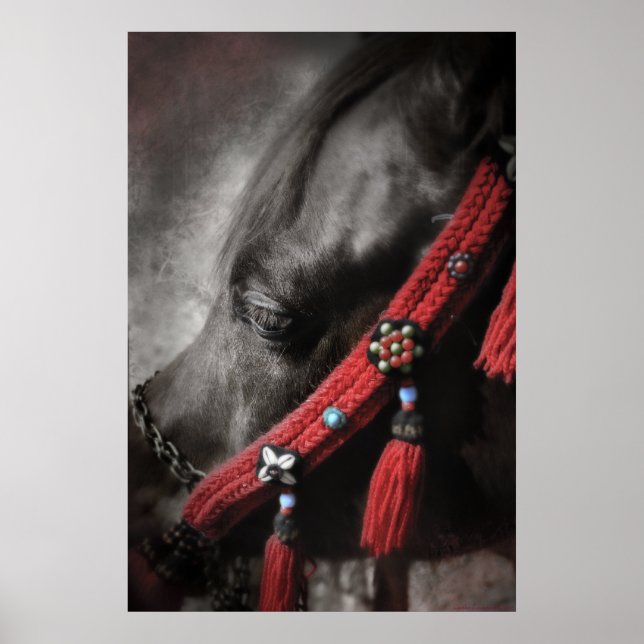 Póster Desert Jewel (Frente)