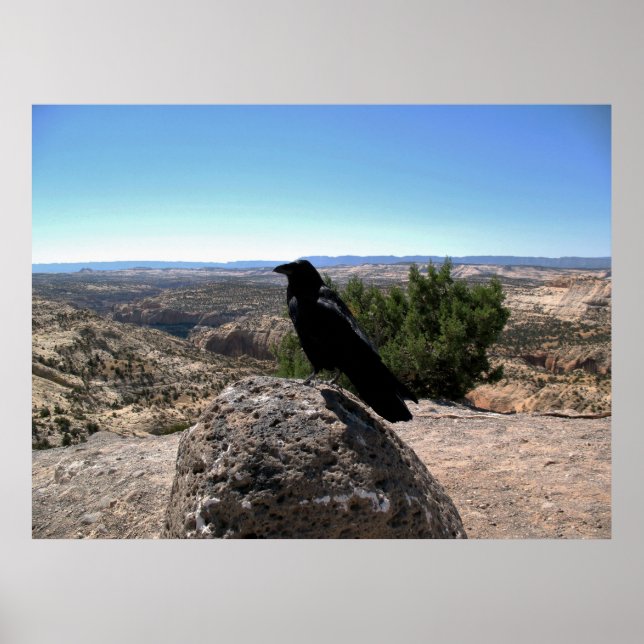 Póster Desert Raven (Frente)