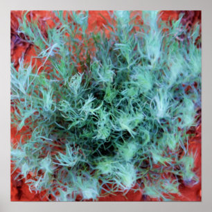 Póster Desert Sage
