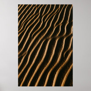 Póster Deserto