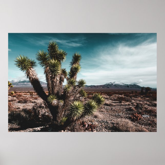 Póster Deserts | Cholla Cactus (Frente)