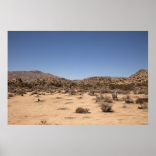 Póster Desertscape