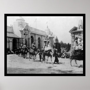 Póster Desfile 1901 del camello de la expo de Pan Am