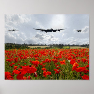 Póster Desfile de aviones de la amapola