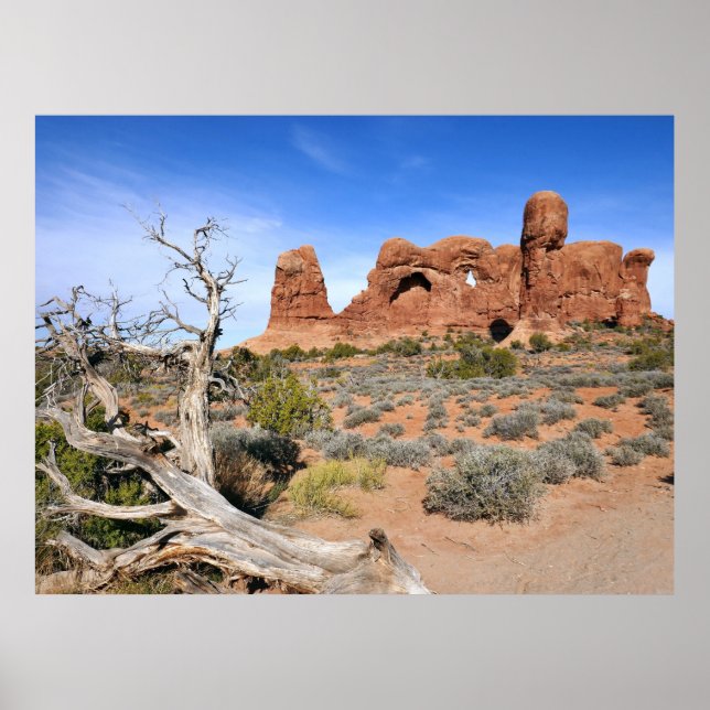 Póster Desfile de Elefantes en el Parque Nacional Arches (Frente)