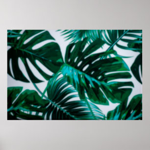 Póster Desfocar el fondo abstracto de la plantación verde