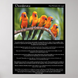 Póster Desiderata cinco naranjas y canario verde