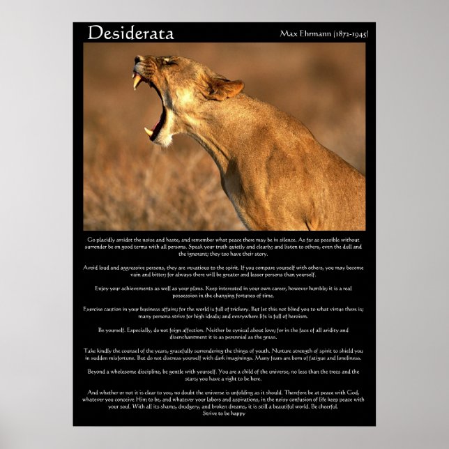 Póster Desiderata cougar muestra sus dientes (Frente)