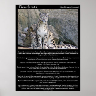 Póster Desiderata dos chitas en la montaña