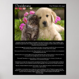 Póster Desiderata gatita junto a un cachorro Poster