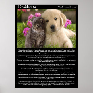 Póster Desiderata gatita junto a un cachorro Poster