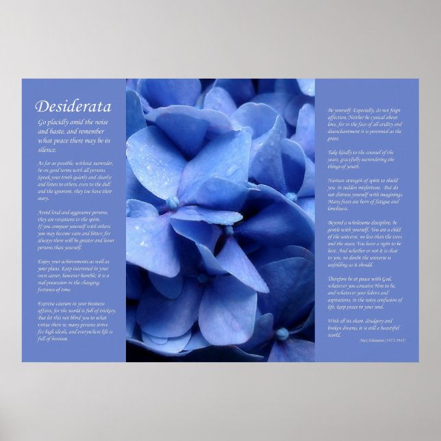 Póster Desiderata - Hidrangea Azul (Frente)