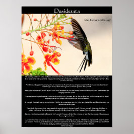 Póster Desiderata Hummingbird zumbando una flor