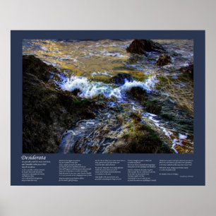 Póster Desiderata - La marea ansiosa