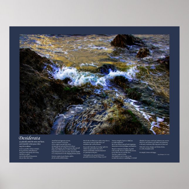 Póster Desiderata - La marea ansiosa (Frente)