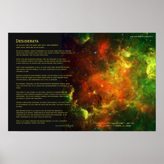 Póster Desiderata - Nebuloso Norteamericano y Pelicano (Frente)