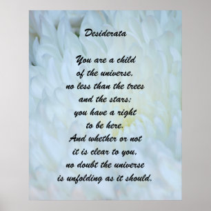 Póster Desiderata Niño del Universo