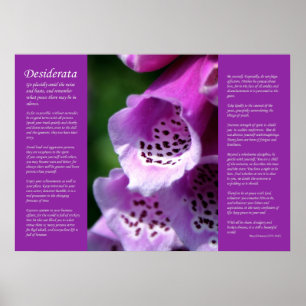 Póster Desiderata - Purple Foxglove