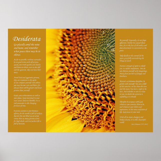 Póster Desiderata - Semillas de girasol (Frente)
