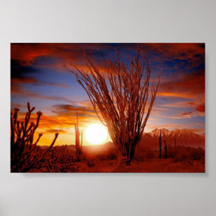 Póster Desierto de Sonora, Arizona