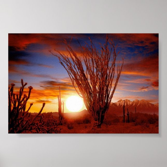 Póster Desierto de Sonora, Arizona (Frente)