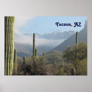 Póster Desierto de Tucson