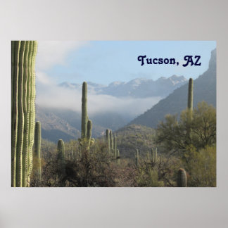 Póster Desierto de Tucson