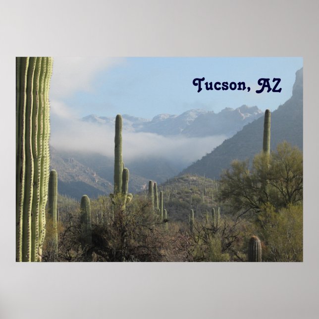 Póster Desierto de Tucson (Frente)