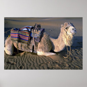 Póster Desierto del Sahara cerca de Merzouga, Marruecos