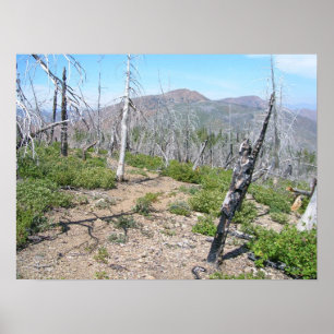 Póster Desierto máximo de Kalmiopsis del puesto de