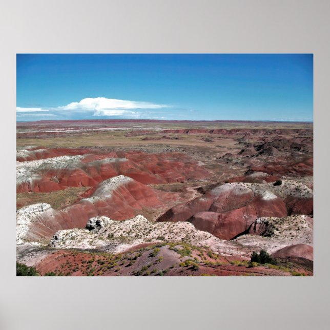 Póster Desierto pintado (Frente)
