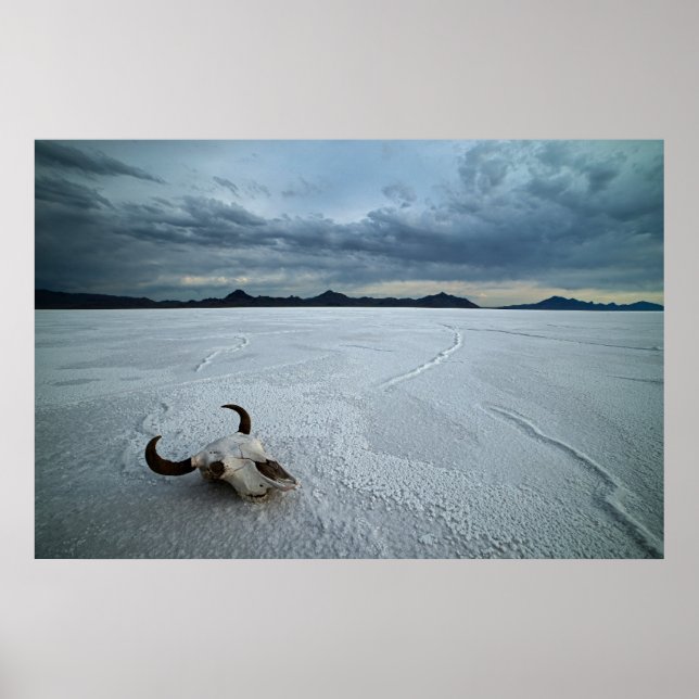 Póster Desiertos | Bonneville Salt Flats Utah (Frente)