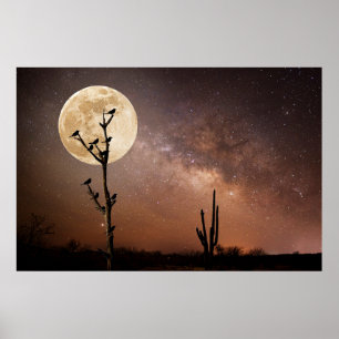 Póster Desiertos Cactus de Saguaro con aves en el desie