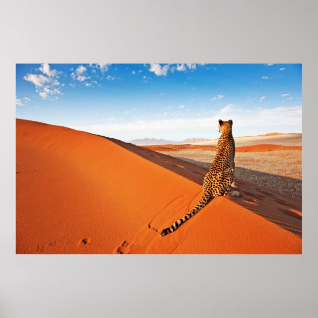 Póster Desiertos | Desierto de Cheetah Savannah (Frente)