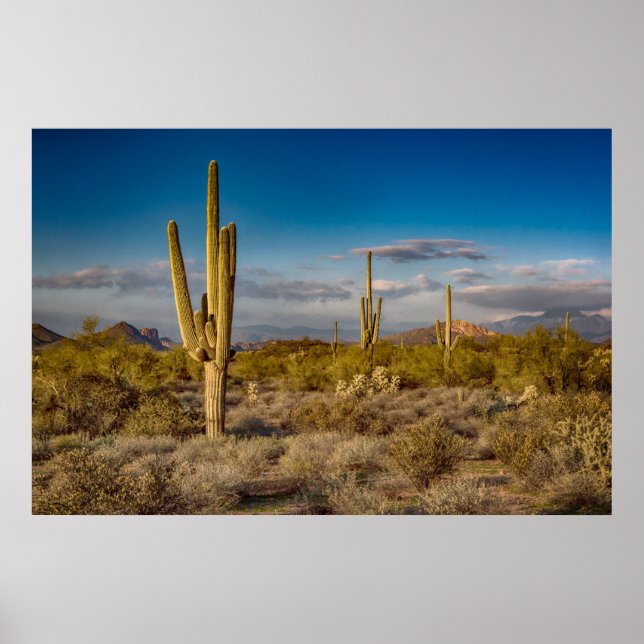 Póster Desiertos | Montañas de Superstición, Arizona (Frente)