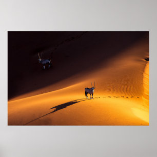 Póster Desiertos   Parque nacional Namib Naukluft - Kenya