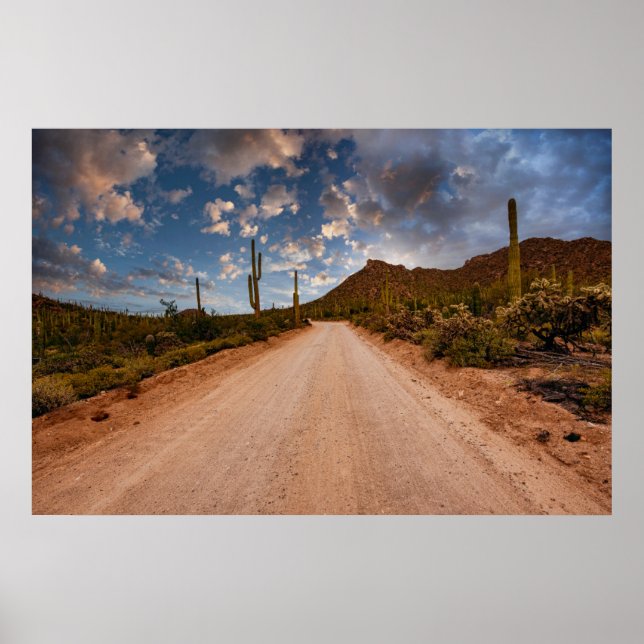Póster Desiertos | Parque nacional Saguaro Arizona (Frente)